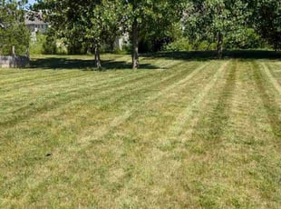 Grace W.'s Lawn Service service result