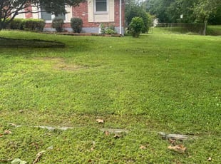 Bush Trimming by Jason Hembree for Brenda D. in Lithia Springs, GA