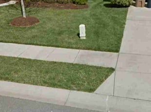 Silvia W.'s Lawn Service service result