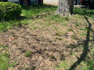 Cleanups by B.J. Schuetz for Tamia O. in Reynoldsburg, OH