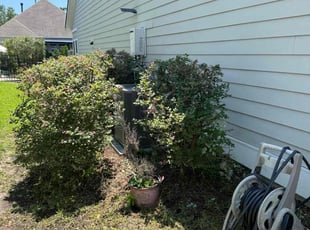 Bush Trimming by Marco Garcia for Miguel P. in Myrtle Beach, SC