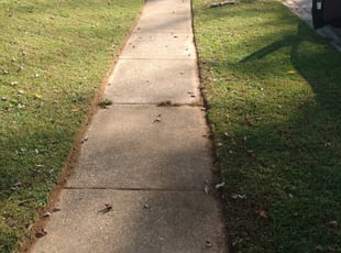 Cleanups by Tyrone Wilkins for paul v. in Riverdale Park, MD