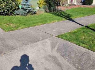 Dajari M.'s Lawn Maintenance service result
