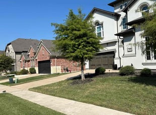 Reyanna B.'s Lawn Service service result