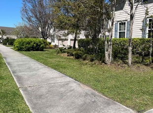 Kathy H.'s Lawn Care service result