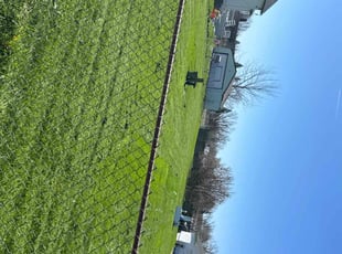 Kevin K.'s Yard Cutting service result