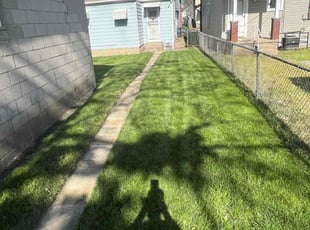 Sheri B.'s Lawn Maintenance service result