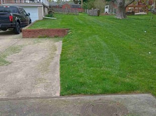 Tin M.'s Lawn Maintenance service result