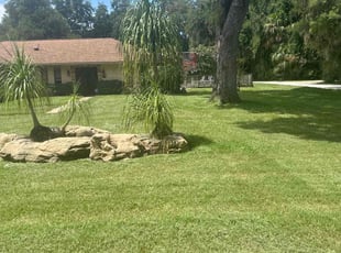 Megan S.'s Lawn Care service result