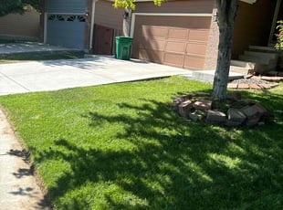 Mel M.'s Lawn Mowing service result