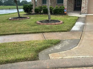 Dion R.'s Lawn Mowing Service service result