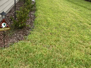 Sunshine M.'s Yard Cutting service result