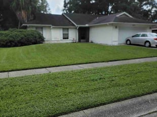 James N.'s Lawn Mowing service result