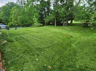 Rose R.'s Lawn Mowing Service service result