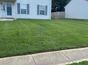Kym G.'s Lawn Mowing service result