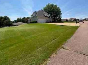 Sandy B.'s Lawn Mowing Service service result