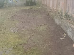 Cleanups by Pamela Davitt for Kathy M. in Cincinnati, OH