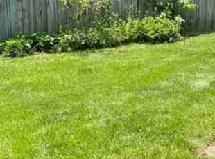 Bush Trimming by Kunle Okubena for Tyler T. in Hyattsville, MD