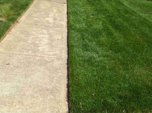 Walter B.'s Lawn Mowing Service service result