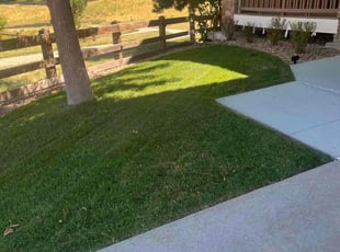 David S.'s Lawn Service service result