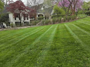 Bj M.'s Lawn Mowing service result