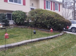 Bush Trimming by Allan Roberts for Margaret T. in Springfield, VA