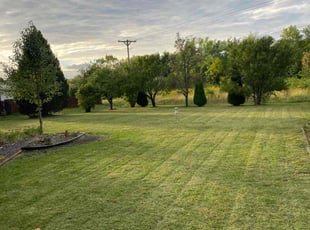 Joseph S.'s Lawn Mowing service result