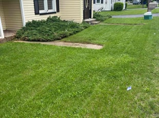 Bill W.'s Yard Cutting service result