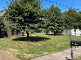 Scott B.'s Lawn Care service result