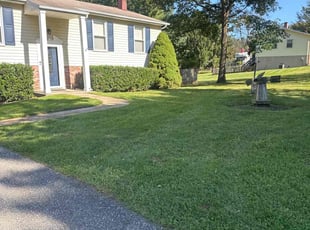 Wade J.'s Yard Cutting service result
