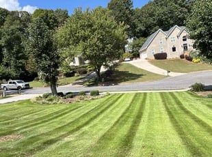 Kiran k.'s Yard Cutting service result
