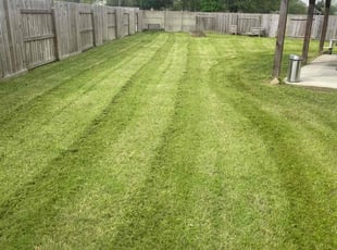Deana G.'s Lawn Care service result
