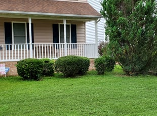 Bush Trimming by William Mende for Crystal A. in Newport News, VA
