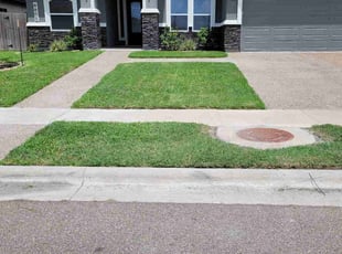 Mary N.'s Lawn Mowing service result