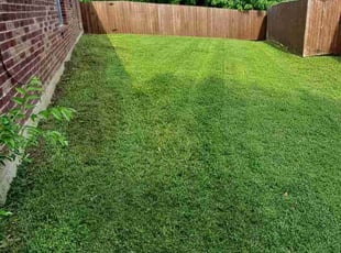 Tashina P.'s Lawn Care service result