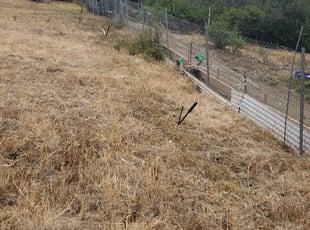 Cleanups by Loren Bunnell for Vanessa M. in San Diego, CA