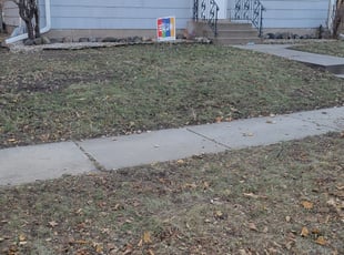 Leaf Removal by Kyle Anderson for Christine B. in Saint Paul, MN