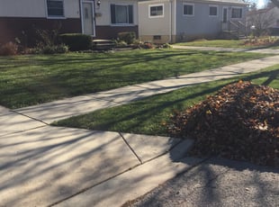 Leaf Removal by Phillip Kukla for Charles R. in Mundelein, IL