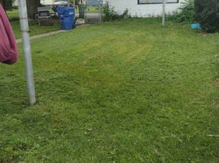 Kelly M.'s Lawn Mowing Service service result