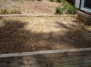 Weeding by Barbara Kundrat for Sarah L. in Richmond, VA