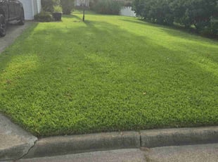 Glodem M.'s Grass Cutting service result