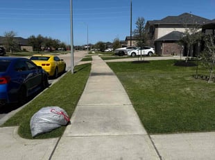 Kristen D.'s Lawn Care service result