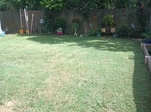 Rome S.'s Lawn Care service result