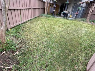Leaf Removal by Alesandre Mejita Duarte for Daniyal A. in Ashburn, VA