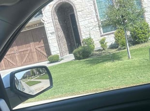 Stacey D.'s Lawn Care service result
