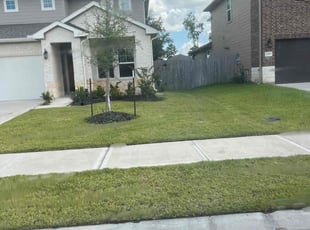 Cleanups by Blayke Elder for Bryce G. in Tomball, TX