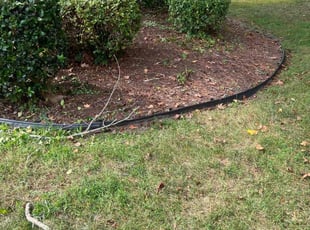 Weeding by Valera Swearngin for Andrew B. in Chesapeake, VA