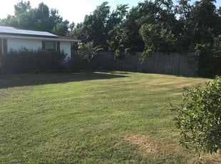 Mandeville S.'s Lawn Mowing service result