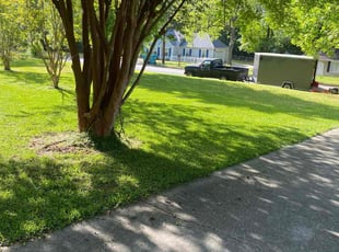 Anand T.'s Yard Cutting service result