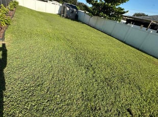 Jaciel m.'s Lawn Service service result